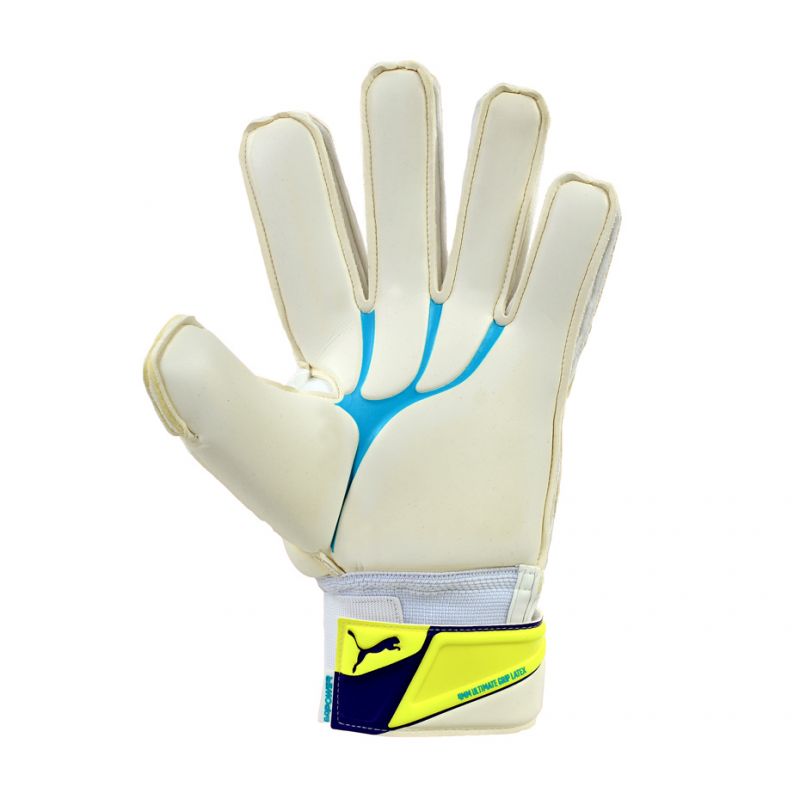 Goalkeeper gloves Puma EVO POWER GRIP 1/41054 04