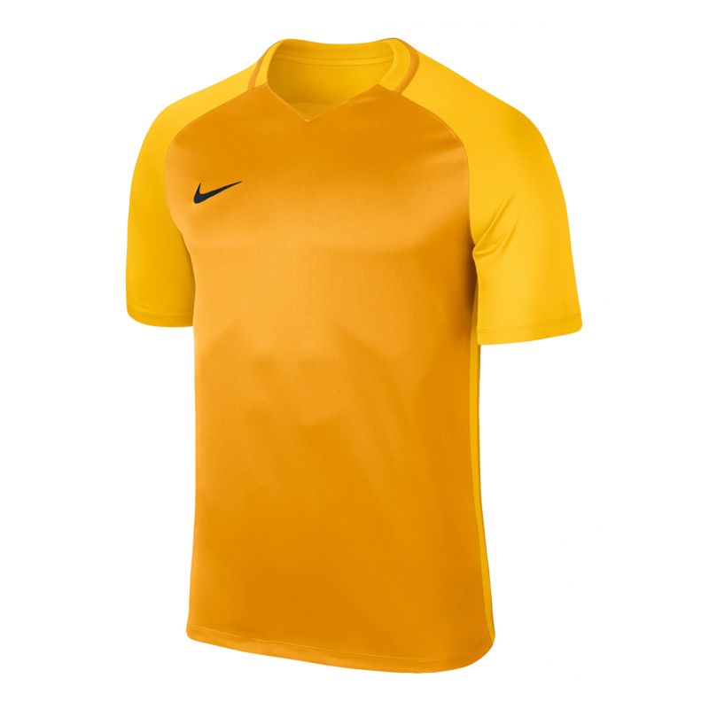 Nike Dry Trophy III Jr 881484-739 T-shirt