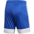 Kratke hlače adidas Tastigo 19 Shorts Jr DP3682