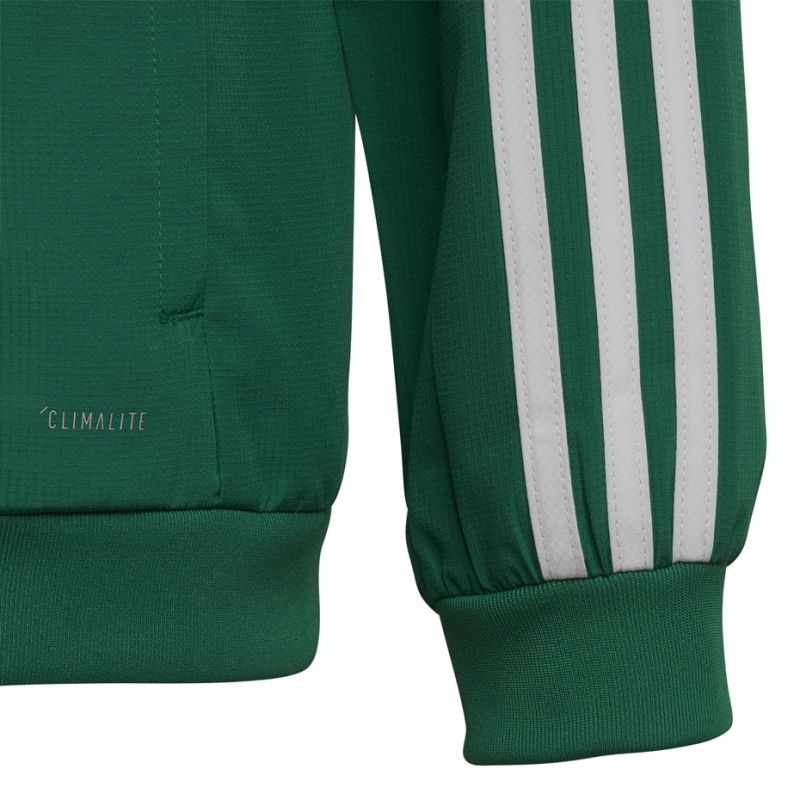 Adidas Tiro 19 Presentation Jacket Junior DW4790 nogometni pulover