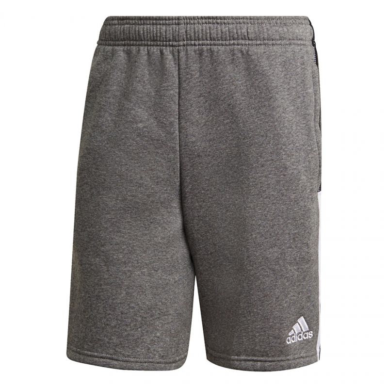 Adidas Tiro 21 Sweat M GP8808 shorts