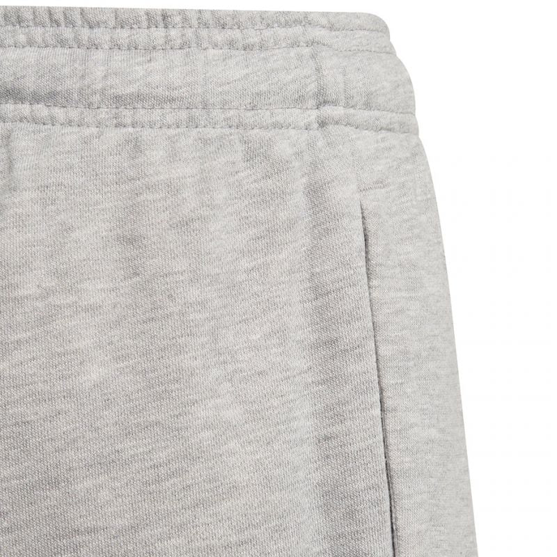 Adidas Essentials Big Logo Short Jr GN4022