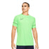 Majica s kratkimi rokavi Nike Dri-FIT Academy 21 M CW6101-398
