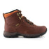 Cipele Ariat Berwick GTX W 10016298